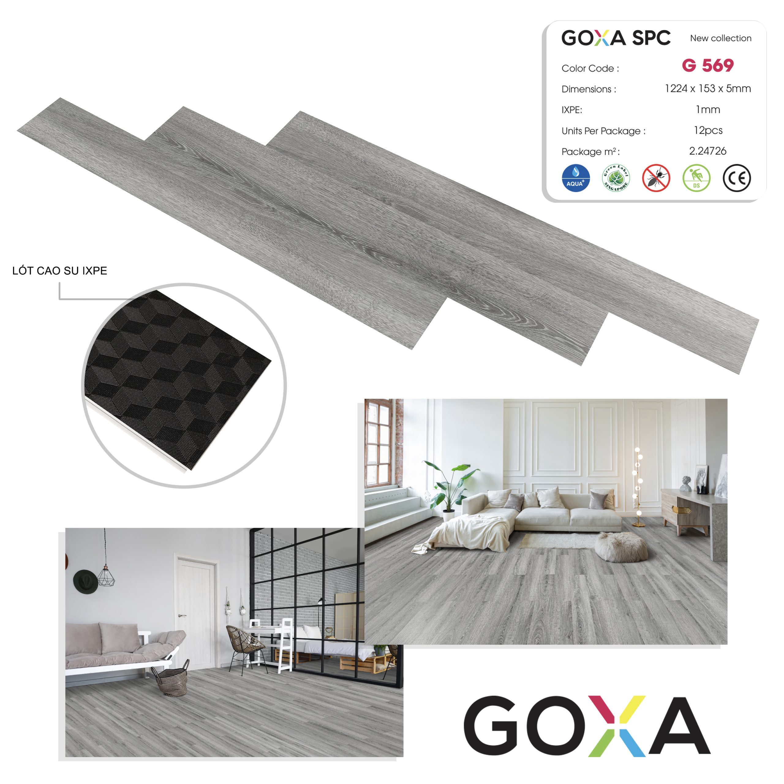 G569