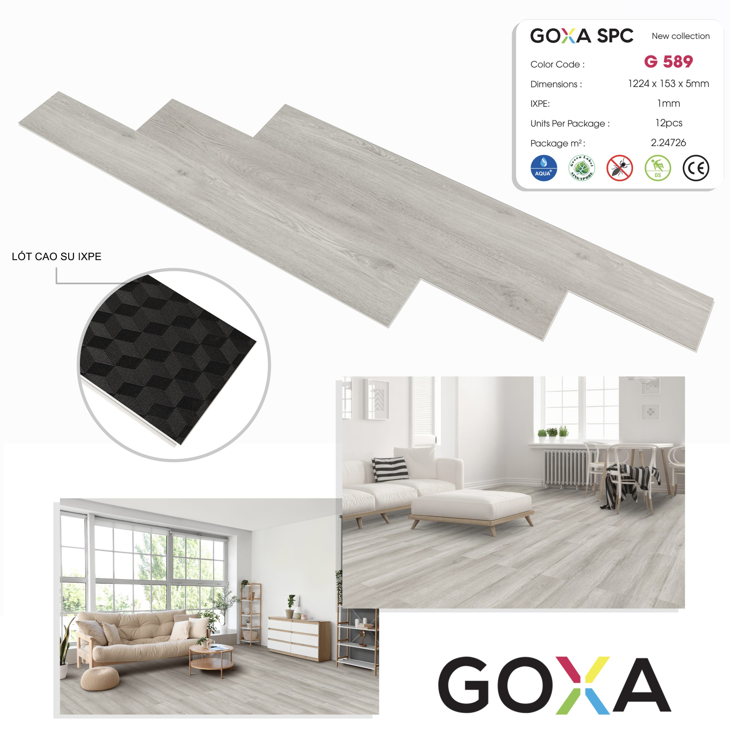 G589