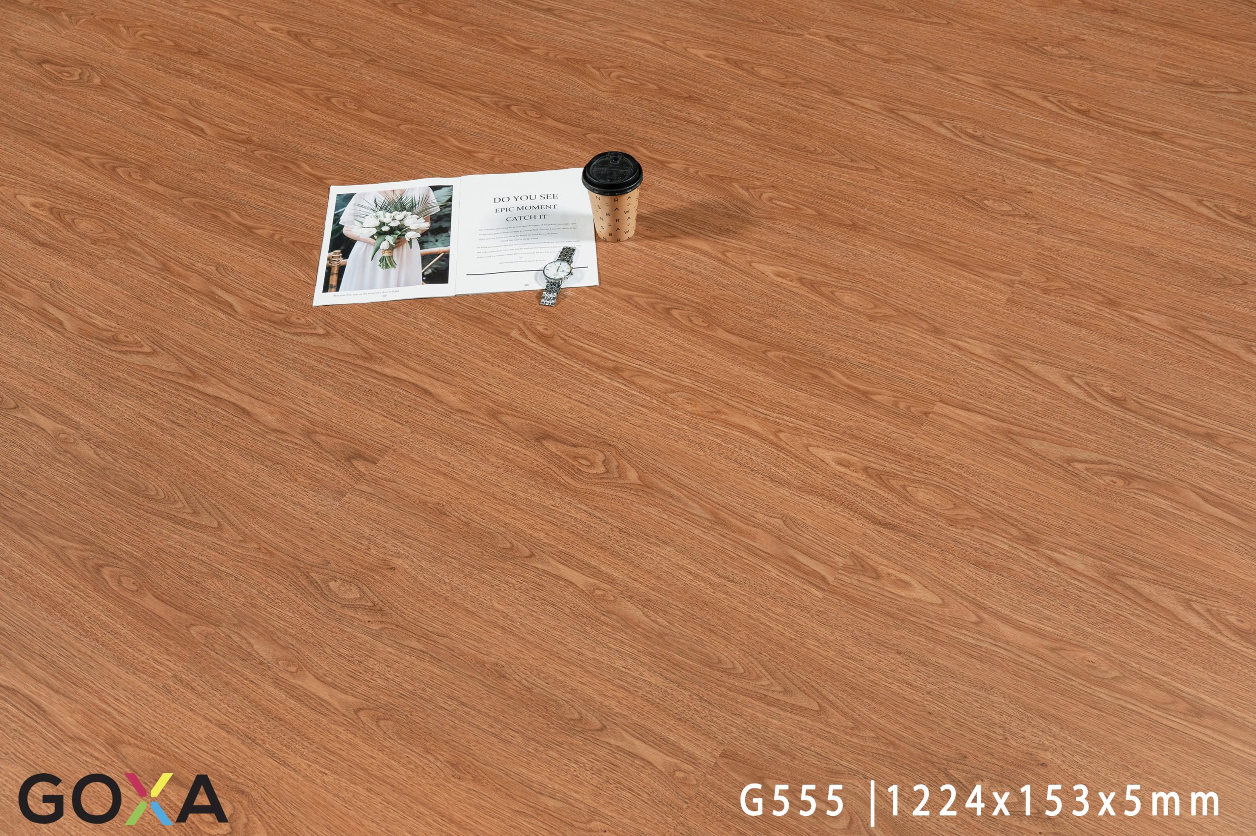 NLS_4543